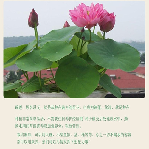 dbb042e28318af034d0f729cd3584a81.jpeg